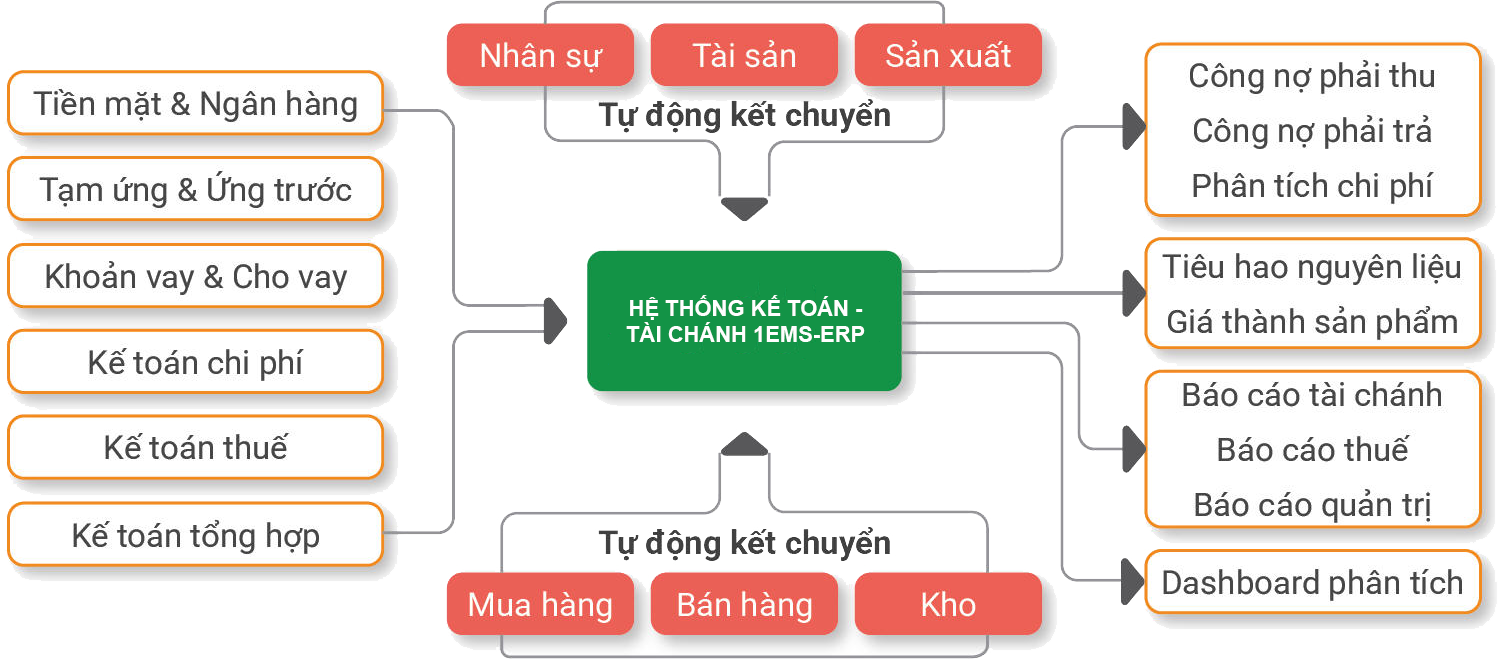 1EMS-ERP giúp lập báo cáo tài chính và báo cáo quản trị chính xác